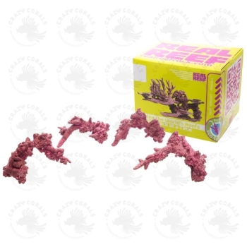 Real Reef Fancy Arches - 4stk.